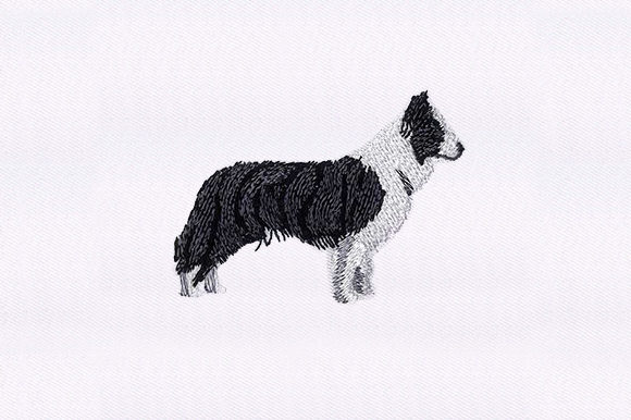 Border Collie Embroidery Design Review from a Gift Shop Pro